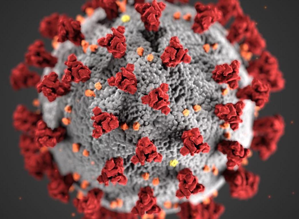 Covid 19 Court — COVID-19 Coronavirus Court Date Schedule